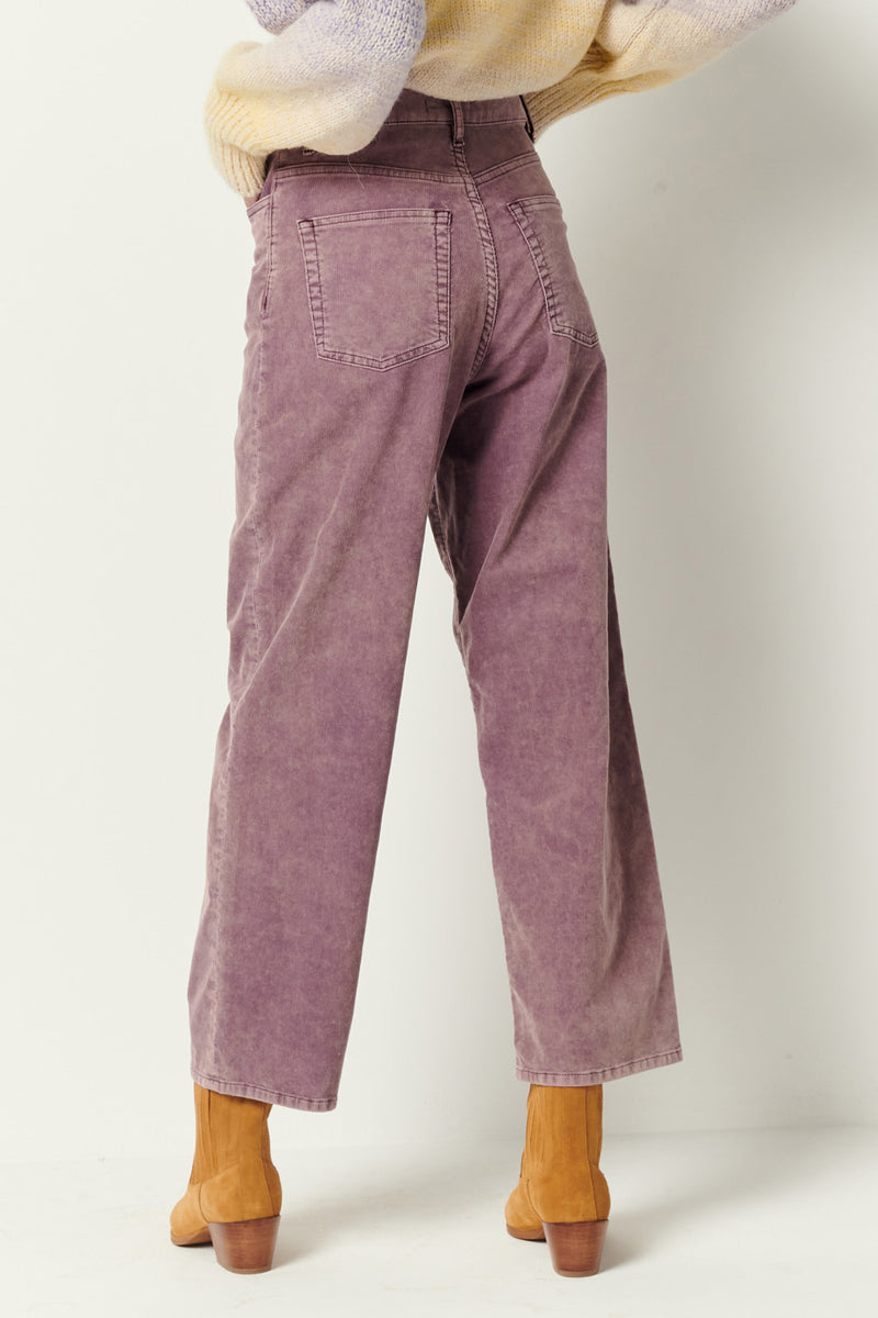 Velvet Cruise Pants in Woodrose