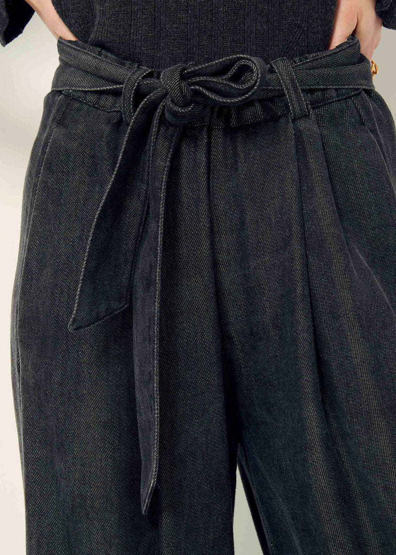 Sessun Rinim Waisted Pants in Carbonella