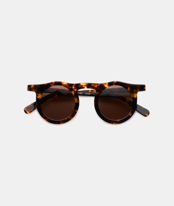 Carla Colour Lind Sunglasses Tortue